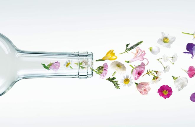 expovina_primavera_messedesign_02