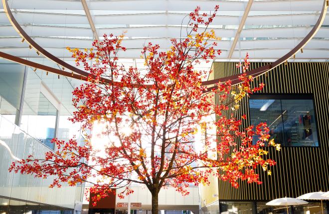 Circle_Herbst_Teaser_2400x1350px_01